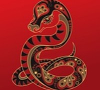Chinese Snake Sign