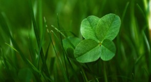 How to attract luck to you